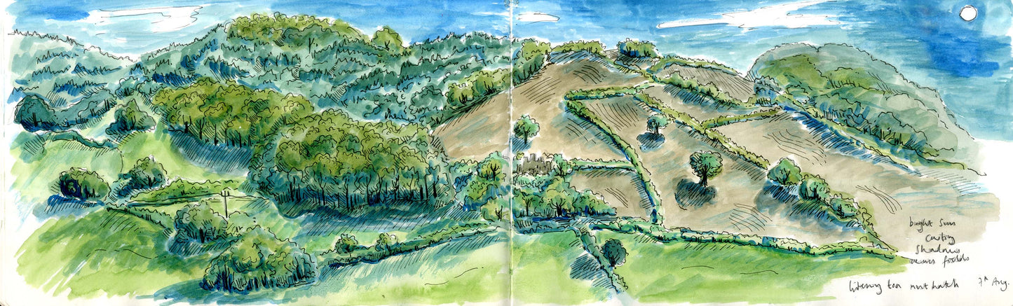 View to Herefordshire from Powys