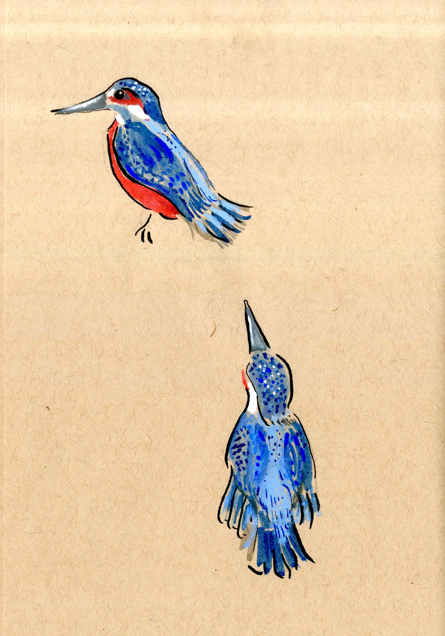 Kingfishers