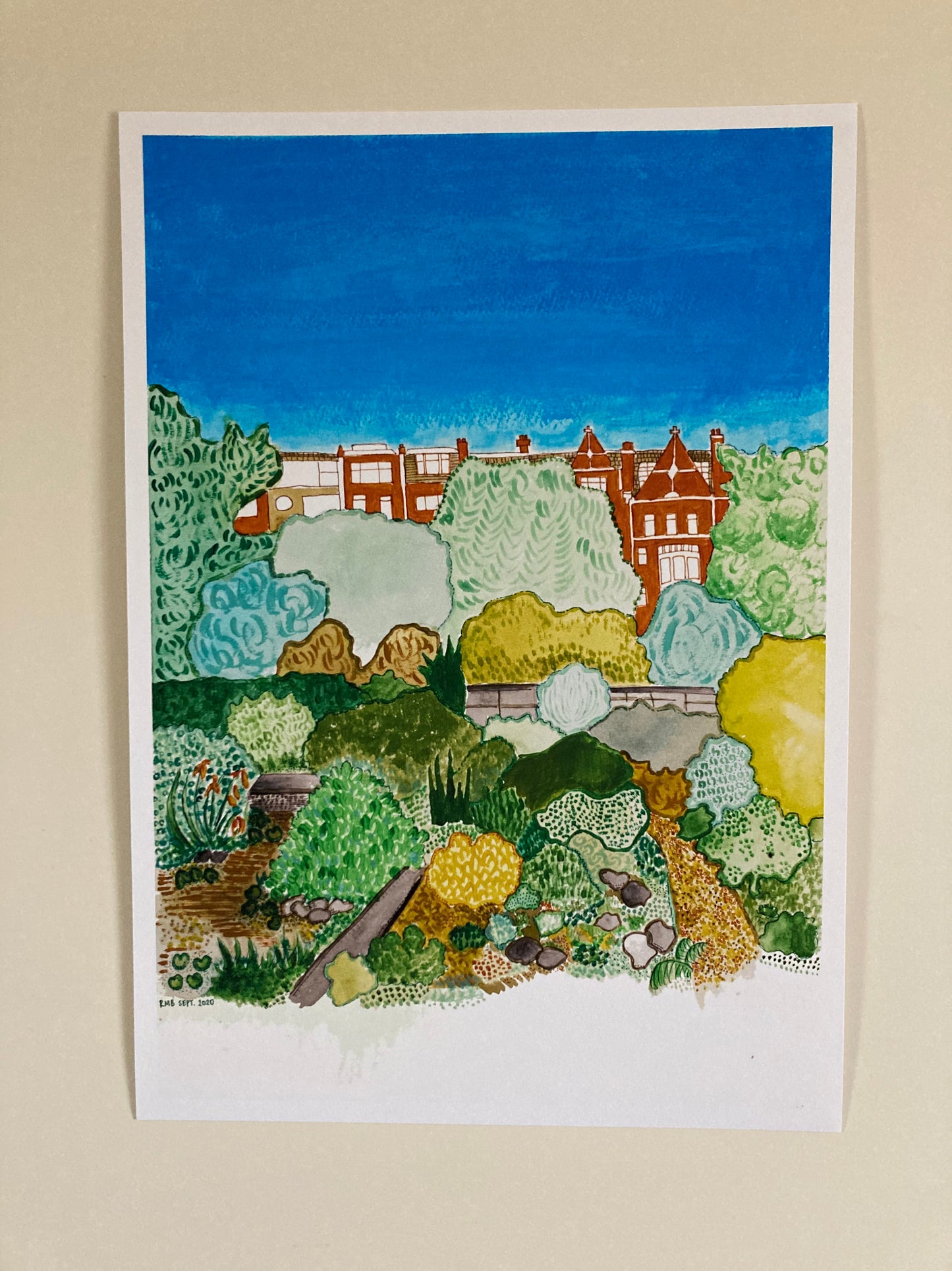 Summer in the Chelsea Physic Garden