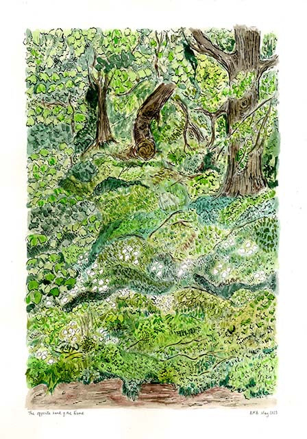 The opposite back of the Frome